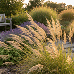Henry Neuhauser zeigt in Rostock: So integriert man Strandhafer im maritimen Garten